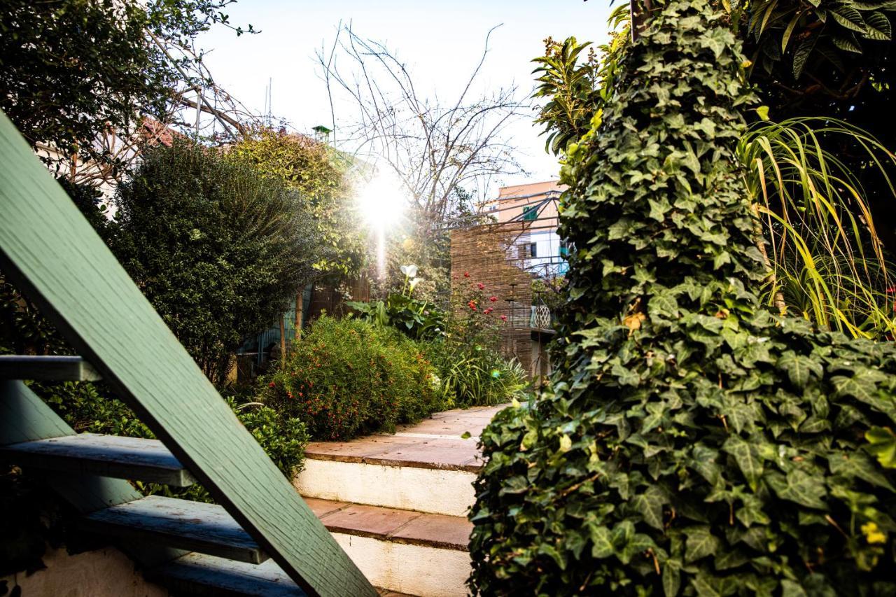 Apartament The Lemon Tree Vilaflor Zewnętrze zdjęcie